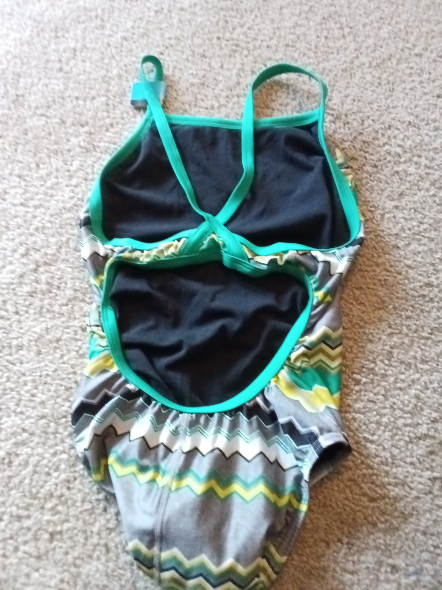 Speedo Bathing Suit