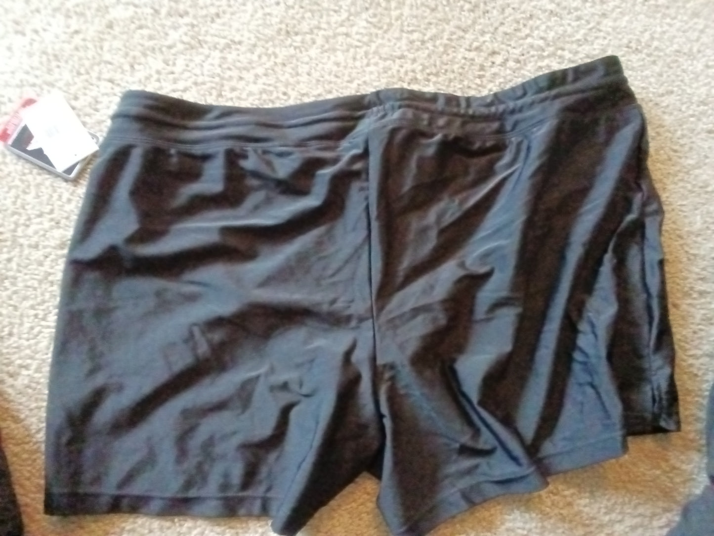 Zeroxposure Bathing Suit Bottoms